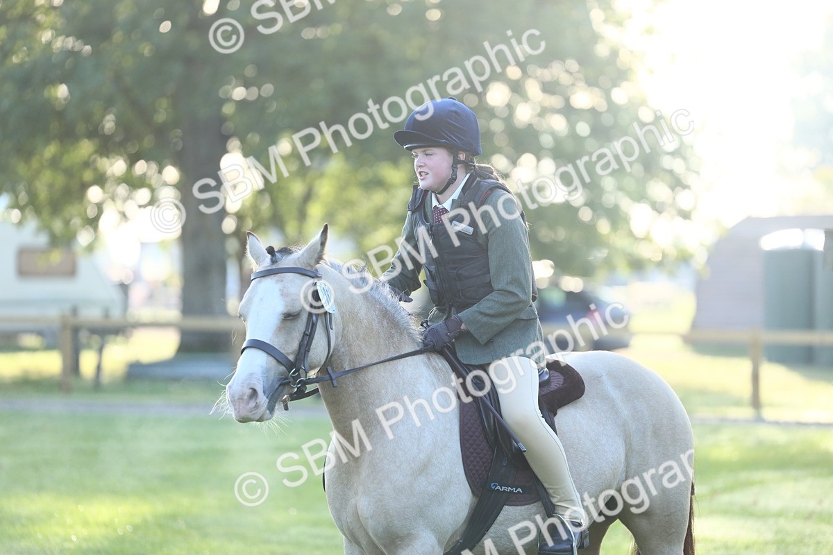 SBM_37272 - S29 - Novice & Newcomers Working Hunter Pony
