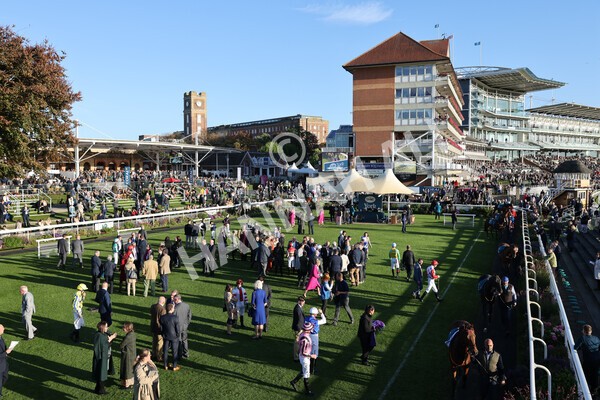 yr08102022r7-9 - Race 7 5.00pm The Coral Gets You Closer To The Action Stakes