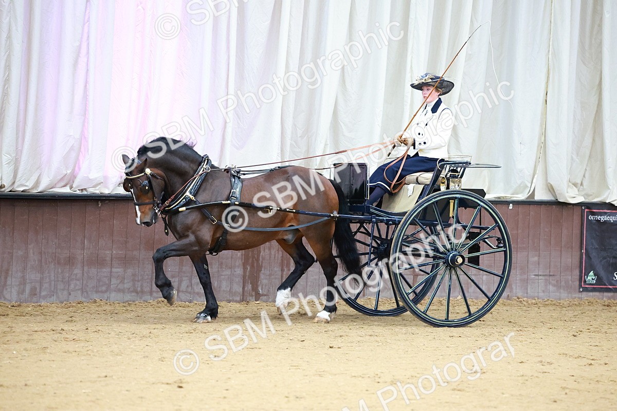 SBM_000118 - Class 3 - Alison Thomas Memorial Lady Whip