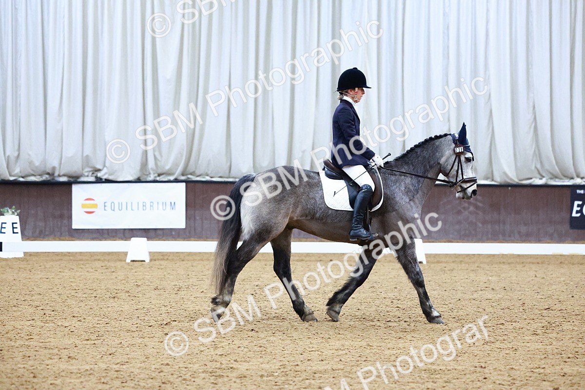 SBM_002675 - Novice Music