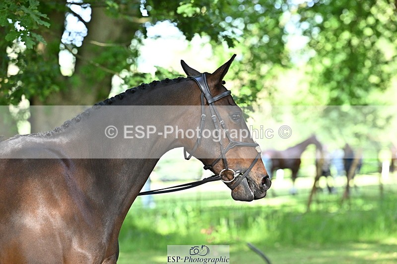 250521A-165039-01372 - C-266-Izzi.Best-BROCKAGH.DOR