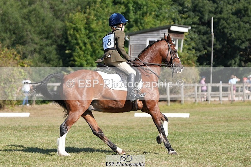 250823A-102953-28107 - Arena A