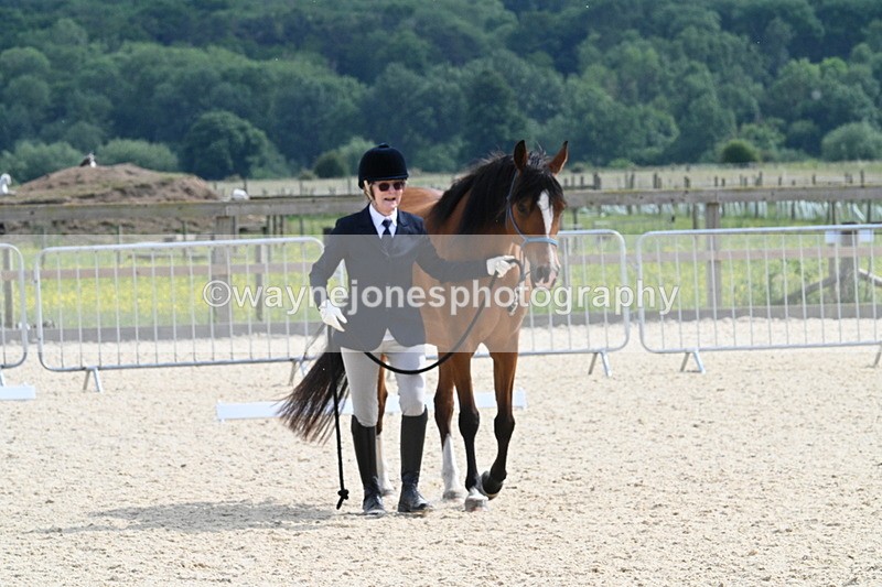 WJ7_8203 - Time 16:10 to 16:25