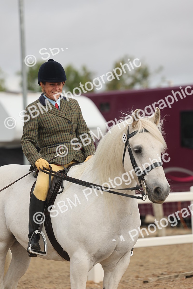 SBM_01962 - Class 14 - Ridden M&M Wildcard