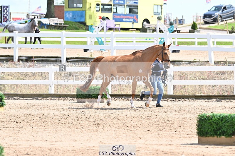 240717A-150638-02542 - Trot Up 3pm to 4pm