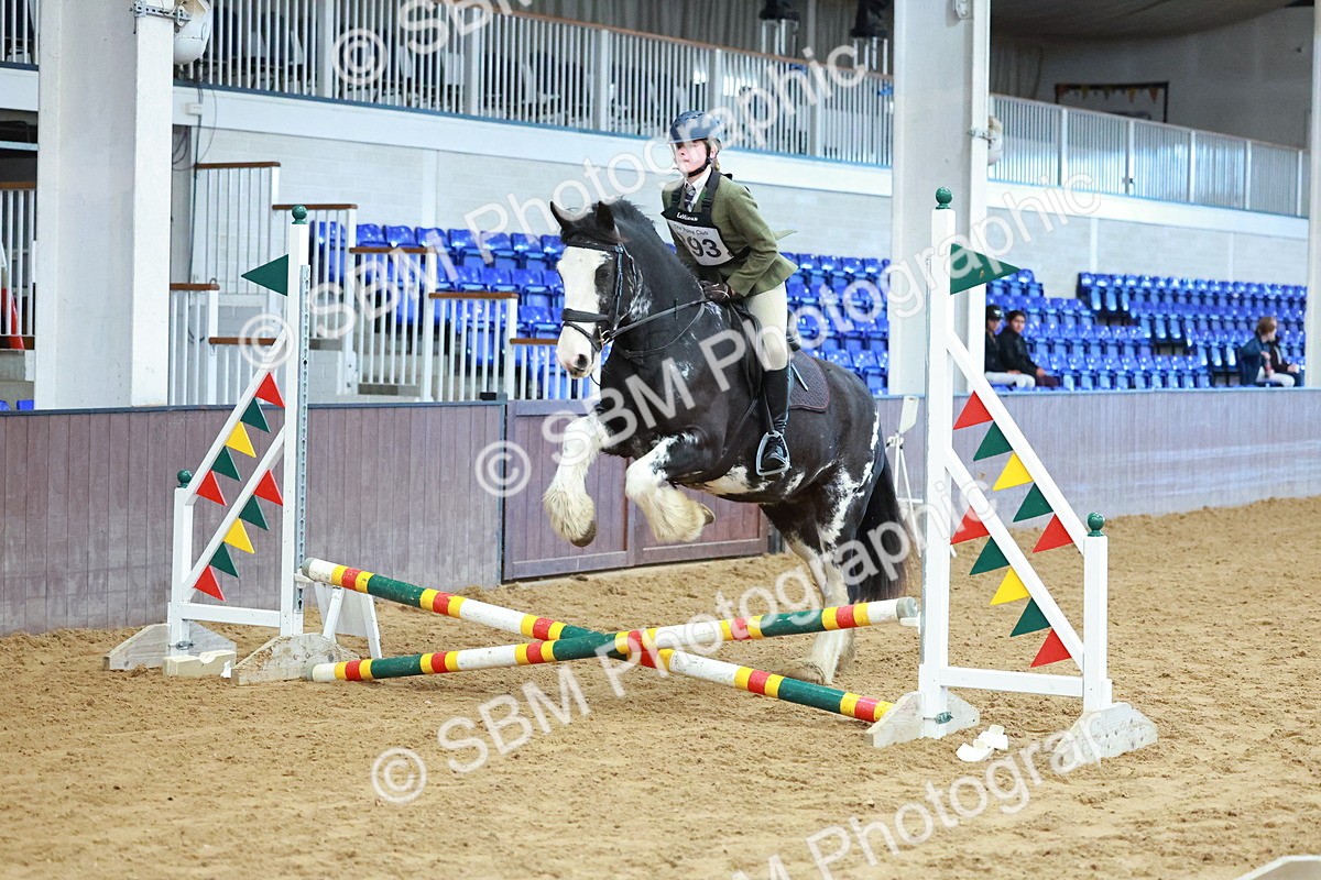 SBM_005659 - Class 2 - 50cm