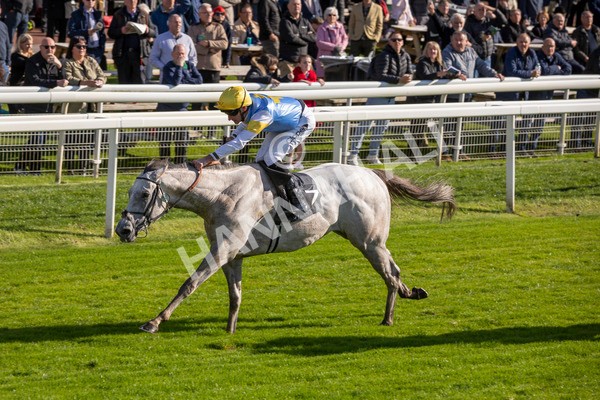 111024-Race 2-Mirabeau-6868 - Race 2 2.05pm British EBF £100,000 Final