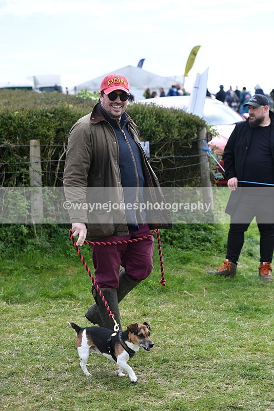 WJ5_0264 - Class 7 Best Terrier