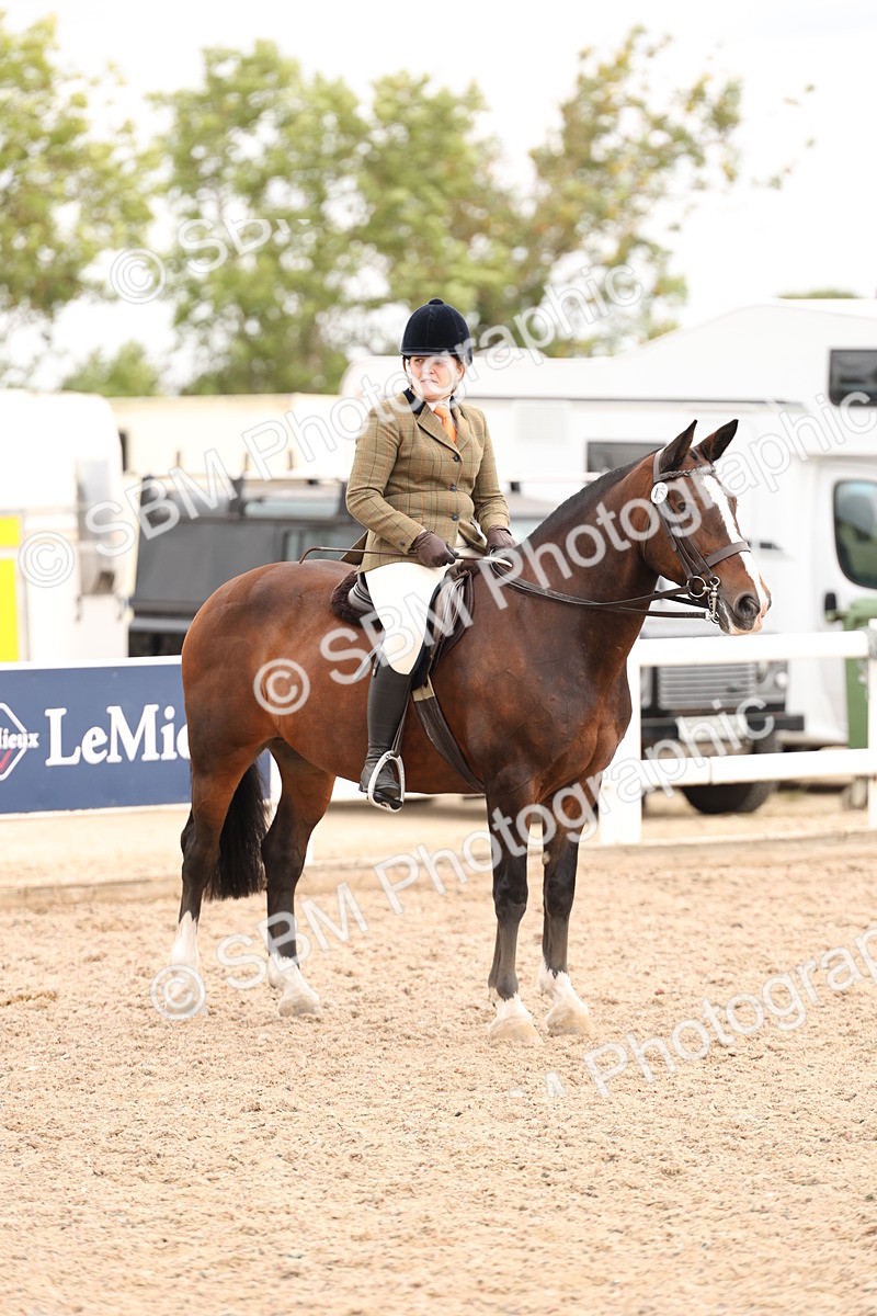 SBM_19593 - Class 215 - Ridden Show cob