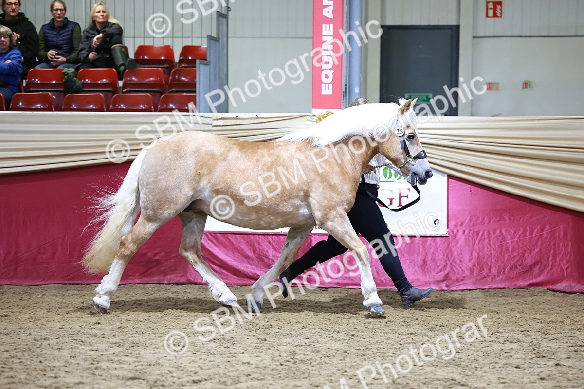 SBM_20673 - Class J - Foreign Breeds Champ
