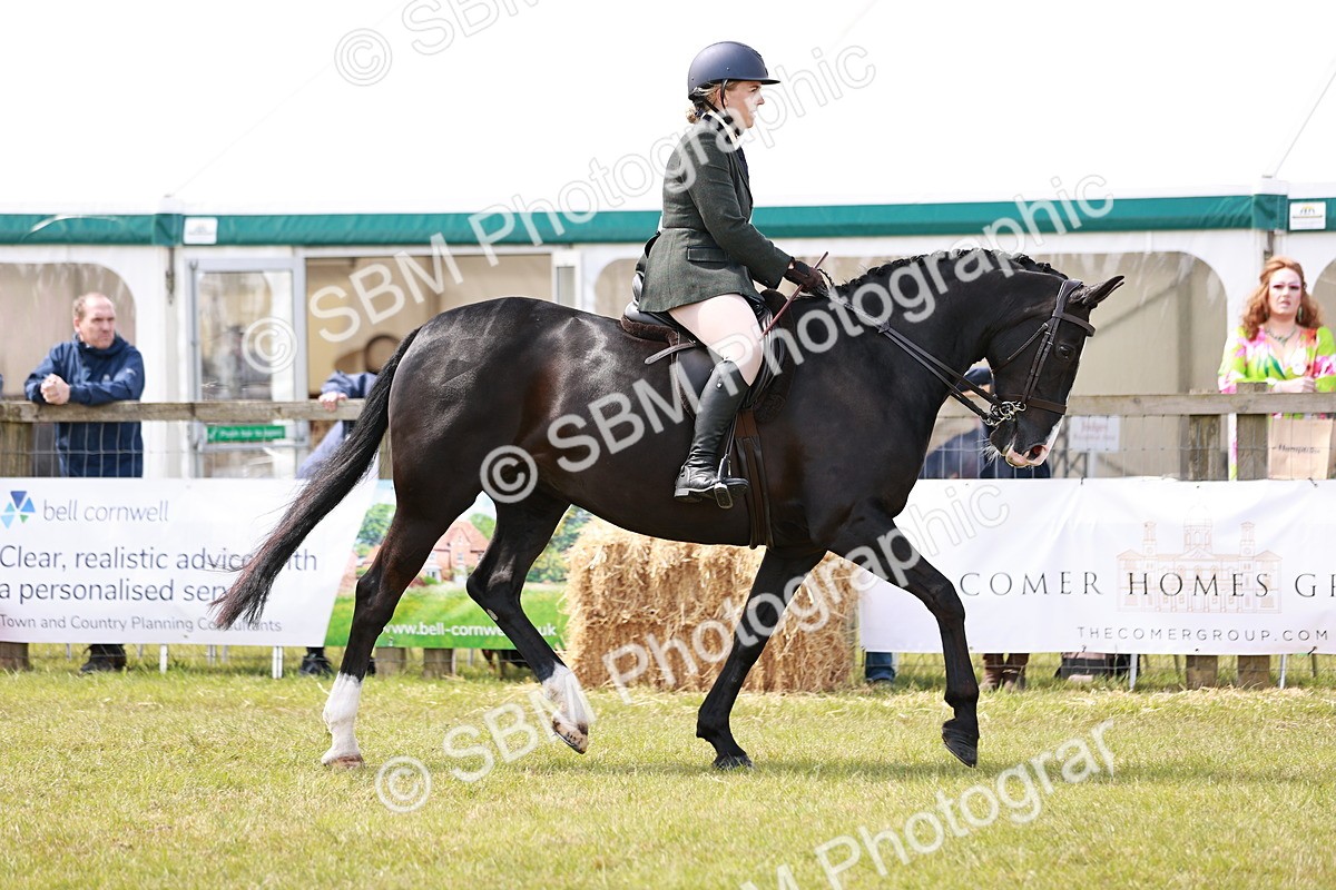 SBM_14504 - Class 88-89 - LIHS BSHA Rising Star of Ridden Hunter Type