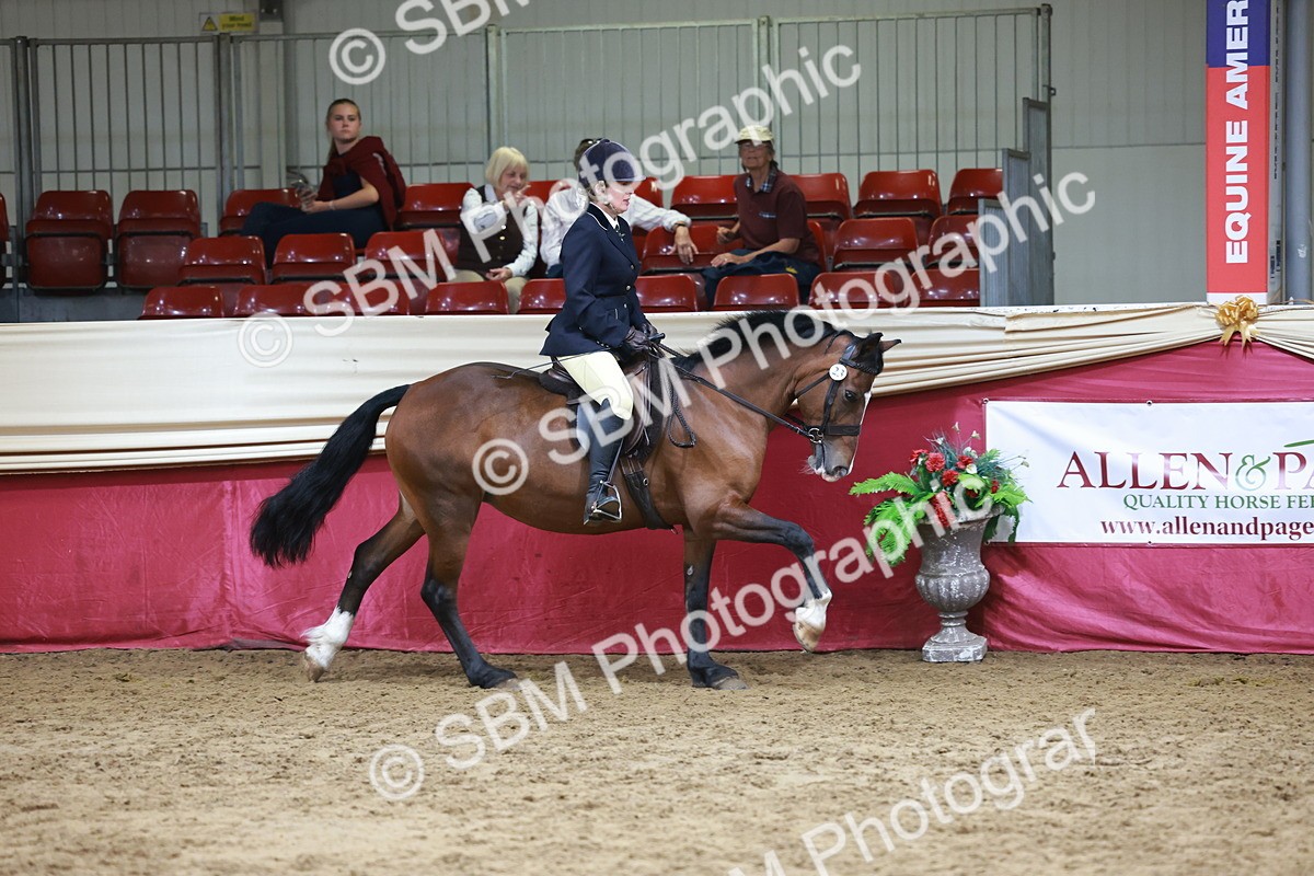 SBM_18741 - Class 952 - M&M Ridden Supreme Final