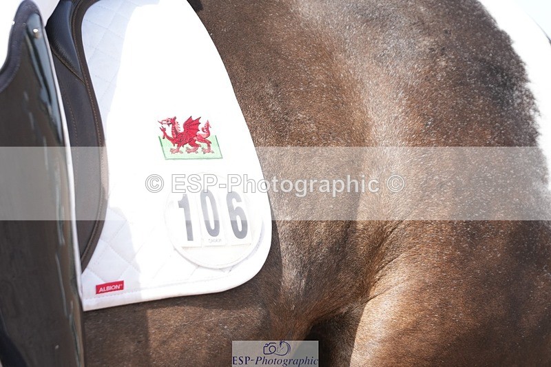 250906-134724-03391 - 106-Lucy.HamblettGalliano.Gold.Dust