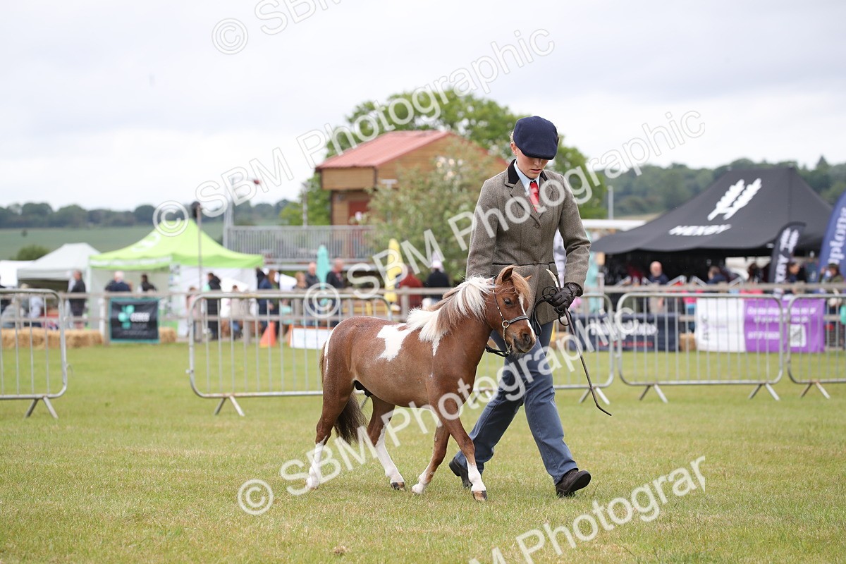 SBM_03525 - Class 23-25 - British Miniature Horse of the Year