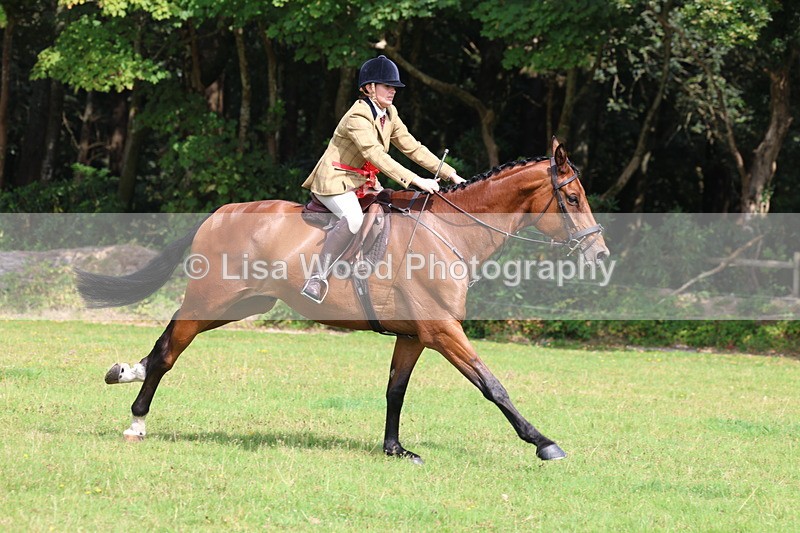 3E7A6142 - Working Hunter Championship