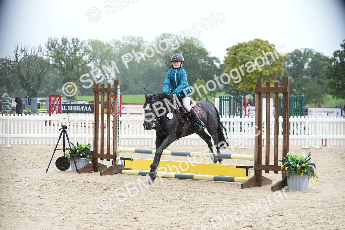 SBM_36300 - J5 - Junior Pony 50cm Championship