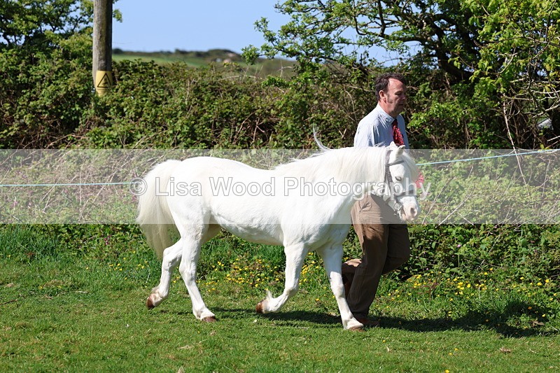 3E7A9388 - Class 16: Best Grass Kept