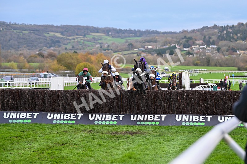 171124-Race 4-Abuffalosoldier-3552 - Race 4