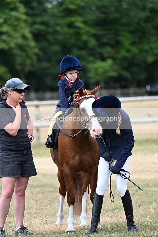 WJ7_9766 - Class 1 Lead Rein Pony