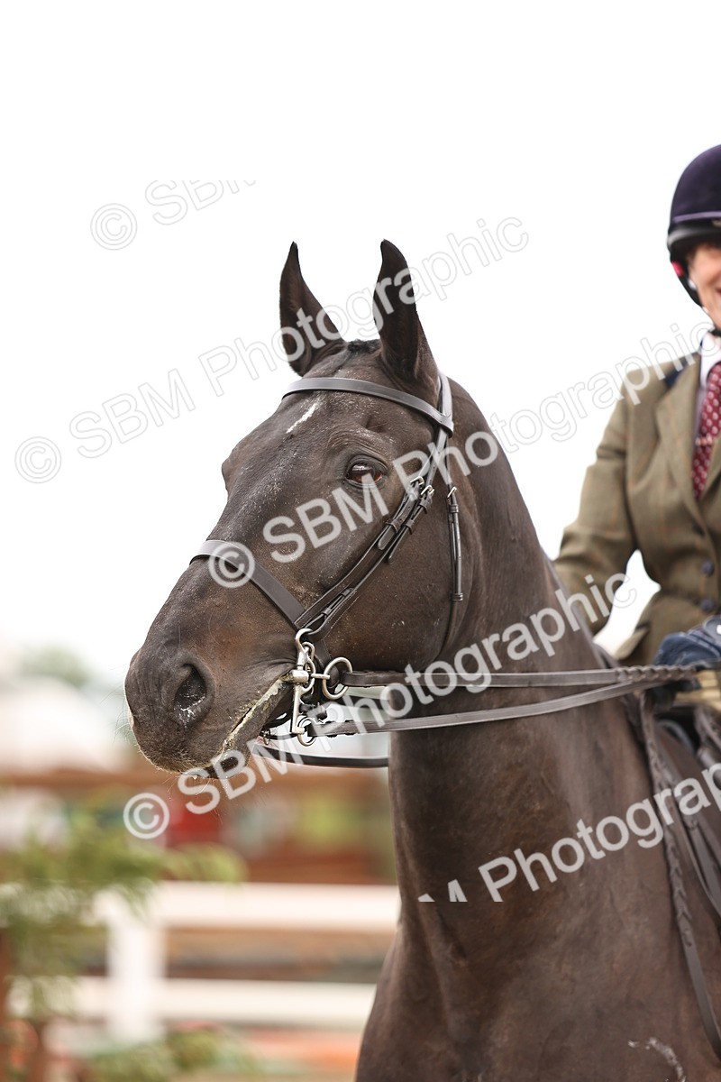 SBM_00680 - Class 53 - Ridden Competition Horse Pony