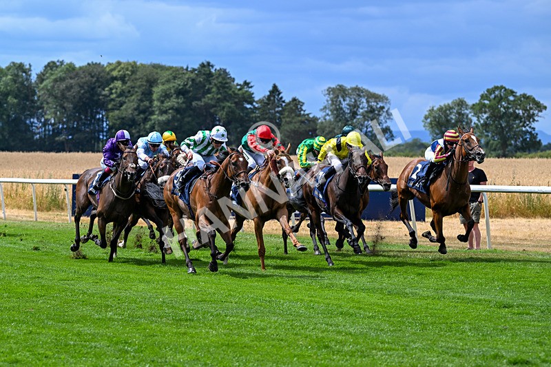 010826-Race 2-Witch Hunter-2247 - Race 2 14.08pm William Hill Summer Cup Handicap