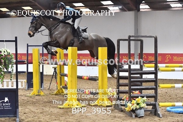 BPP_3955 - CLASS 17  Senior Foxhunter/ 1.20m Open