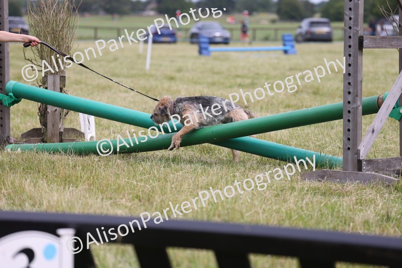 20260614-4371 - Class 25 - Horse and Hound Jumping