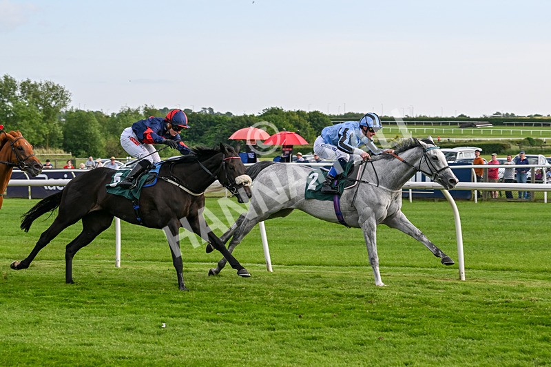 100625-Race 5-Crowns Lady-7260 - Race 5