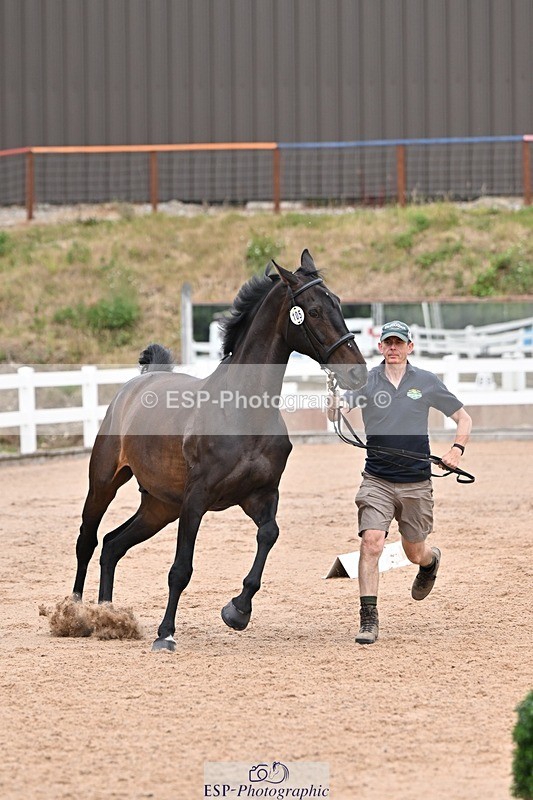 250716-141735-00997 - Trot Up 1.30 to 2.30