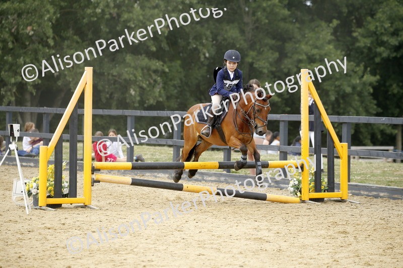 20250622-6284 - 60cm