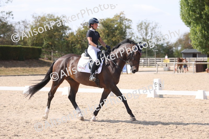 20260815-1157 - Class 6 - Novice 2