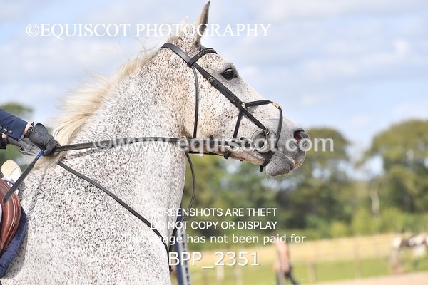 BPP_2351 - CLASS 17 SUN Senior Newcomers/ 1.10m Open