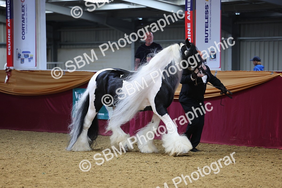 SBM_22649 - Class 903 - Supreme Final - IH Pre Vet
