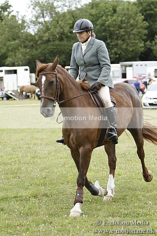 BVR160717-964 - Ring 3 BVRC Show 16/07/17