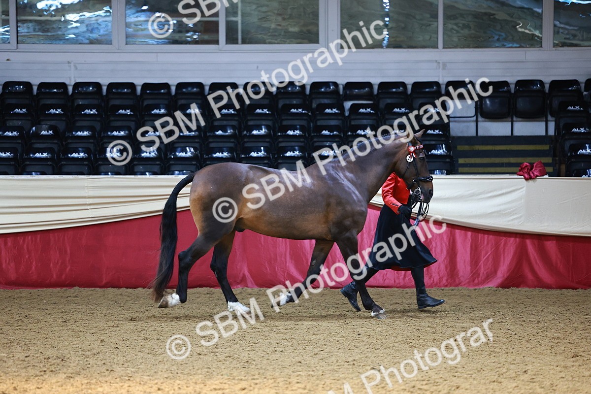 SBM_22355 - Class 902 - Supreme Final - IH Diamond