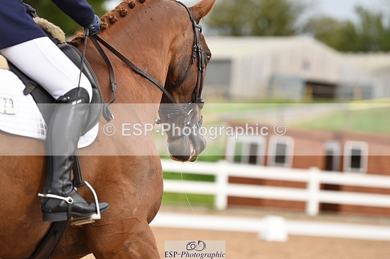 230912A-121056-00727 - Cls 8 Elementary 59