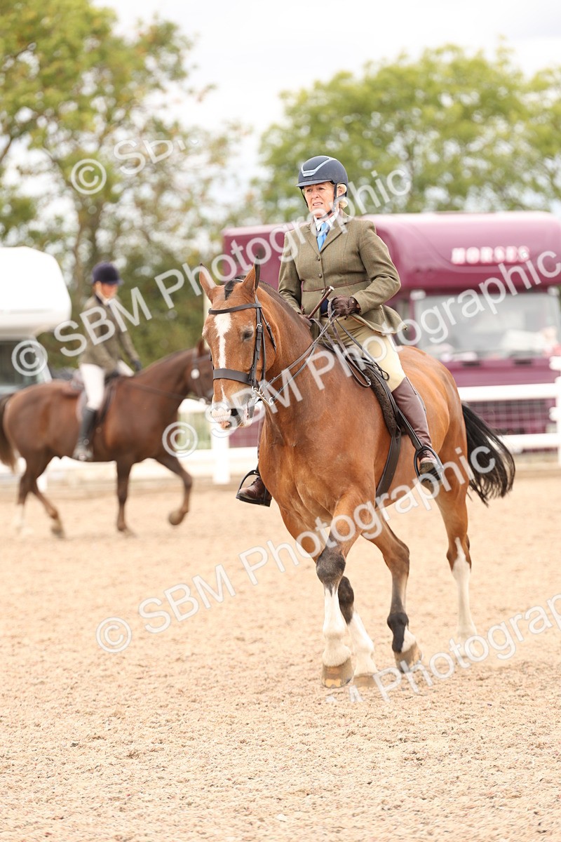 SBM_19553 - Class 215 - Ridden Show cob