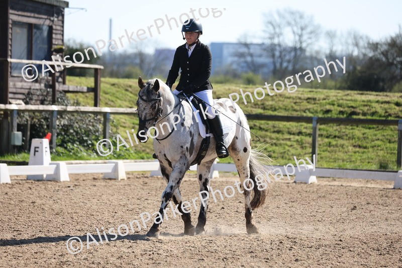 20260318-0464 - Class 5 - Novice 2