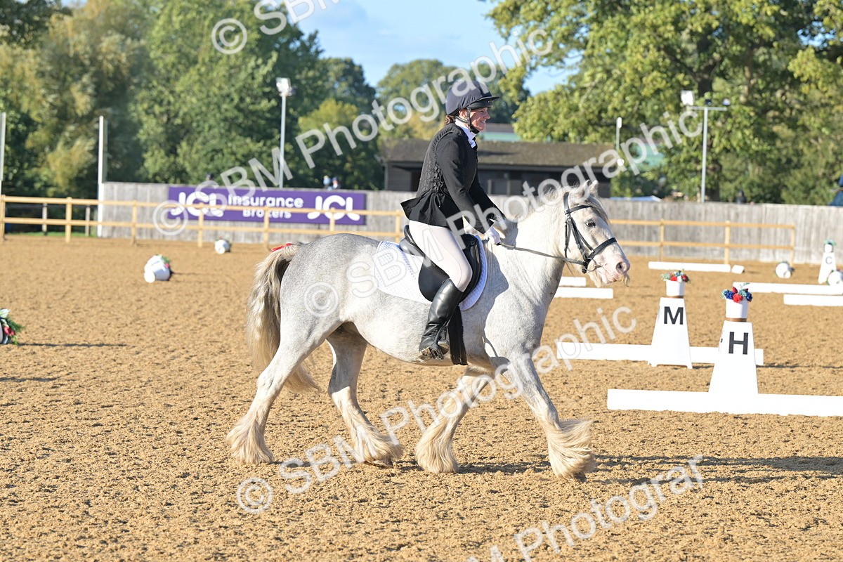 SBM_13119 - D3 - Small Tour Championship Intro 3