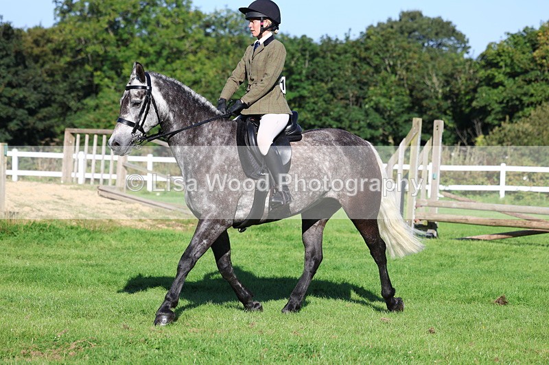 3E7A7625 - Class 1: Novice Working Hunter Pony