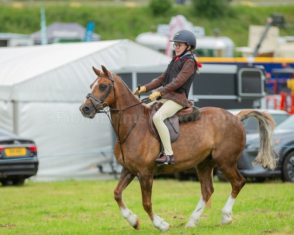 Dunblane show-68 - Dunblane and Doune Show Ring 1