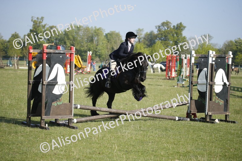 20250427-0220 - Class 12 - Rookie Jumping 40cm