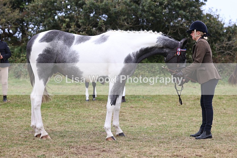 3E7A4169 - Class 15: Two Year Olds