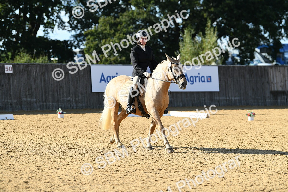SBM_27255 - D16 - Small Tour Championship - Novice 28