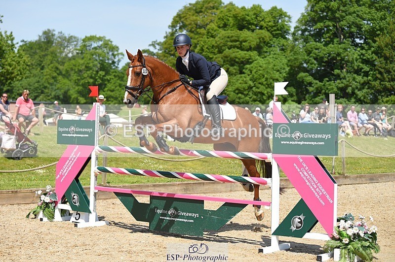 230528-113224-15255 - 323-CHESTNUT_BOBBY-Molly_Fletcher-SUNTrotUp+SJ