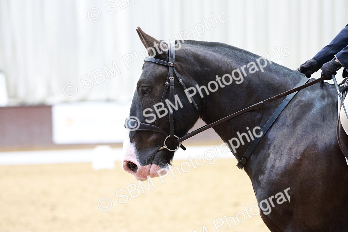 SBM_006884 - Class 3 - Prelim 2
