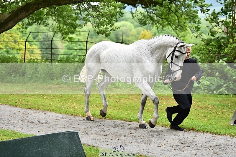 240522-155256-00553 - 111-FATHERS_COMPROMISE-Finn_Healy