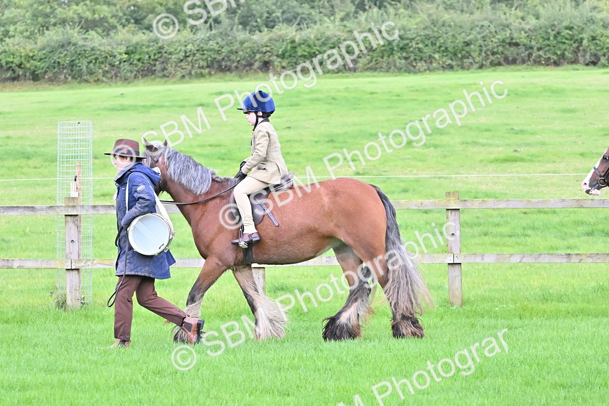 SBM_42892 - S12 - Family Horse & Pony