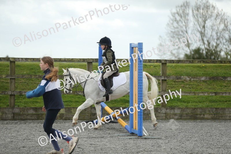 20260412-0653 - Show Jumping
