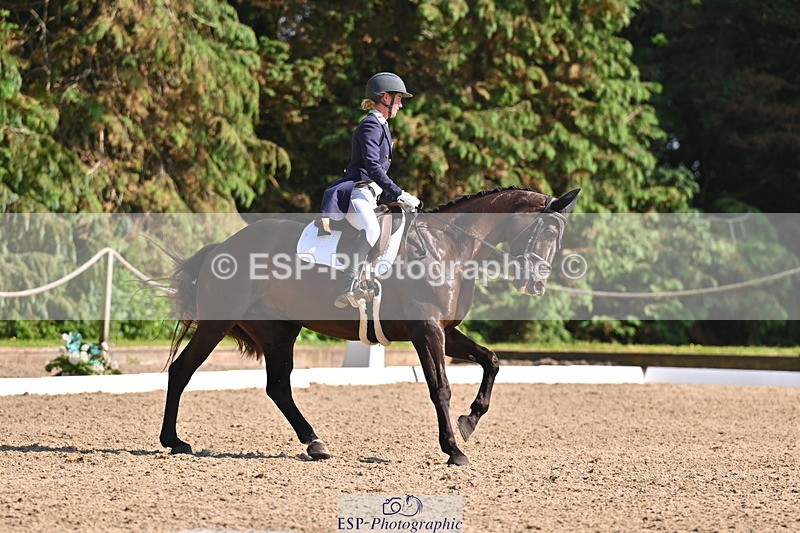 250523A-164025-08129 - B-379-Kelli.Frewin-HIDDEN.GOLD